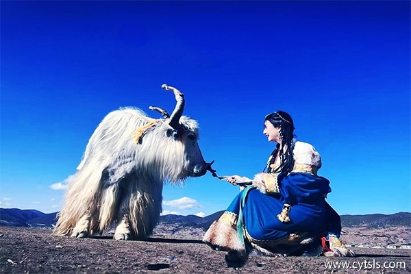 西藏游五天多少錢(qián)